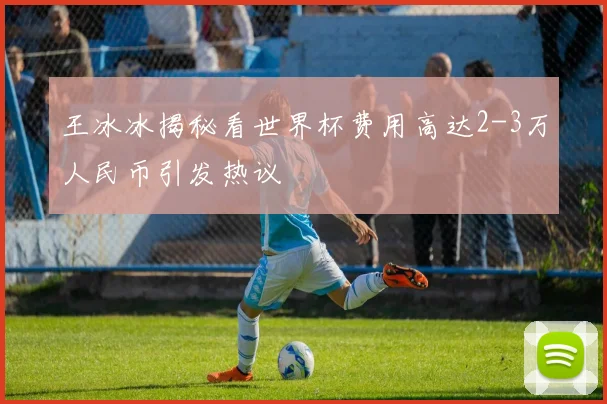 王冰冰揭秘看世界杯费用高达2-3万人民币引发热议